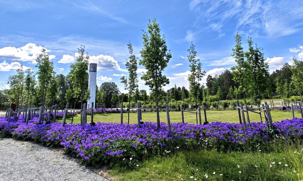 Lilleøya gravlund