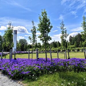 Lilleøya gravlund