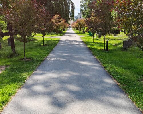 illustrasjonsfoto som viser gangvei i asfalt på en gravplass med klart visuelt og taktil skille til gresset