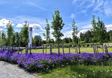 Lilleøya gravlund